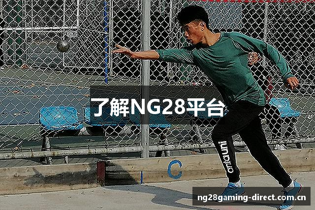 了解NG28平台